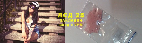 ГАЛЛЮЦИНОГЕННЫЕ ГРИБЫ Заволжье