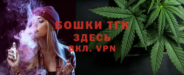 ГАЛЛЮЦИНОГЕННЫЕ ГРИБЫ Заволжье