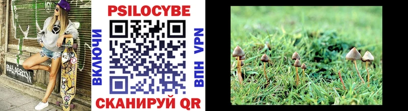 купить наркоту  Томмот  Псилоцибиновые грибы Cubensis 